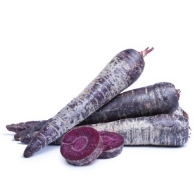  Purple Carrot KG - Holland 