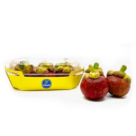  Chiquita Mangosteen Thailand 450G 