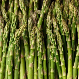  Asparagus Kg - Thailand 