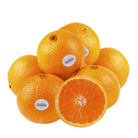  Spain - Navel  Orange Kg 