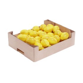  Egypt - Lemon 14 Kg Box 