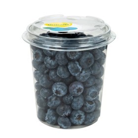  BlueBerry 500gm 
