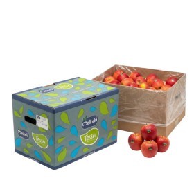  Tessa I Apple 18 KG Box - Italy 