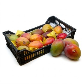  Yemen - Mango 5 Kg Box 