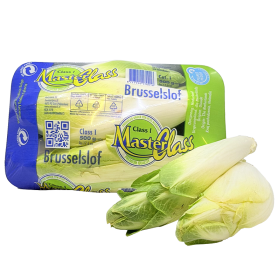  Holland - Chicory 500 g Pkt 