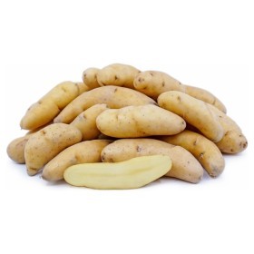  Potato Banana Finger Kg - USA 