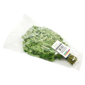  Oregano Herb 100g PKT - Holland 