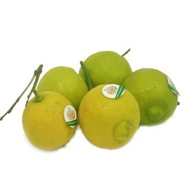  Tunisia -  Bergamot Orange Kg 