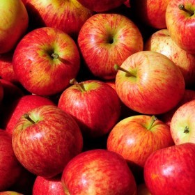  كرتون تفاح رويال جالا بالكيلو - فرنسي 