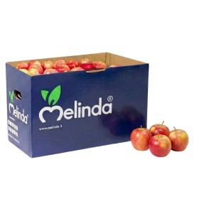  South Africa - Royal Gala Apples 18 Kg Box 