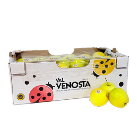  Italy - Golden Apple 8 Kg Box 