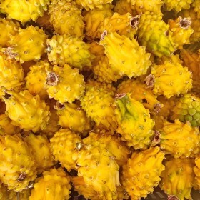  Colombian Pitahaya Kg 