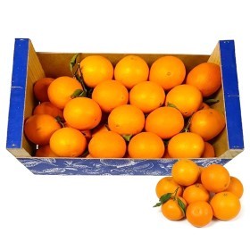  Spain - Navel Orange 9 Kg Box 