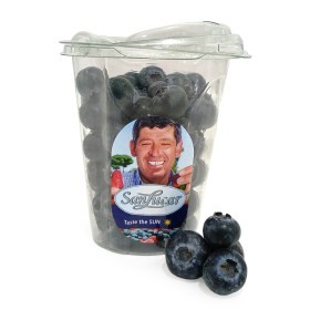  Tunisia - Blueberry 225 g PKT 