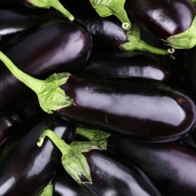  Local Eggplant Kg 