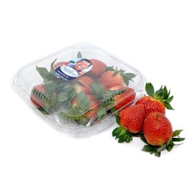  فروله 400 جم باكيت - تونسي 