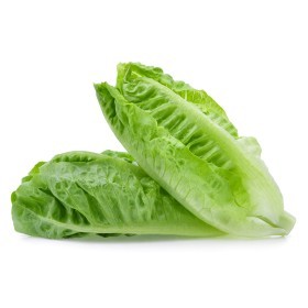  Local Lettuce Kg 