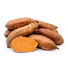  Yam Jewel Sweet Potato - USA 