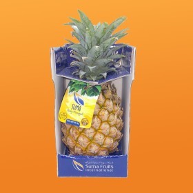  SUMA | Baby pineapple  - Sri Lanka 