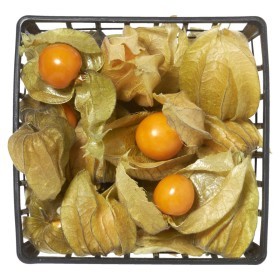  Physalis 100g - Colombian 