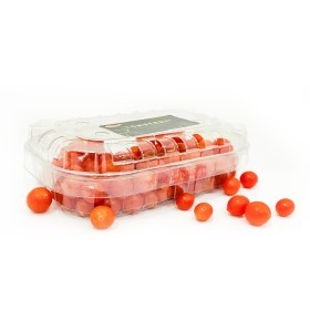  Red Tom Berries PKT - Holland 