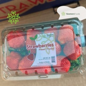  فروله 454 جم باكيت - مكسيكي 