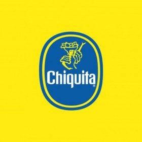  كيوي ذهبي تشيكيتا باكيت - نيوزيلندي 